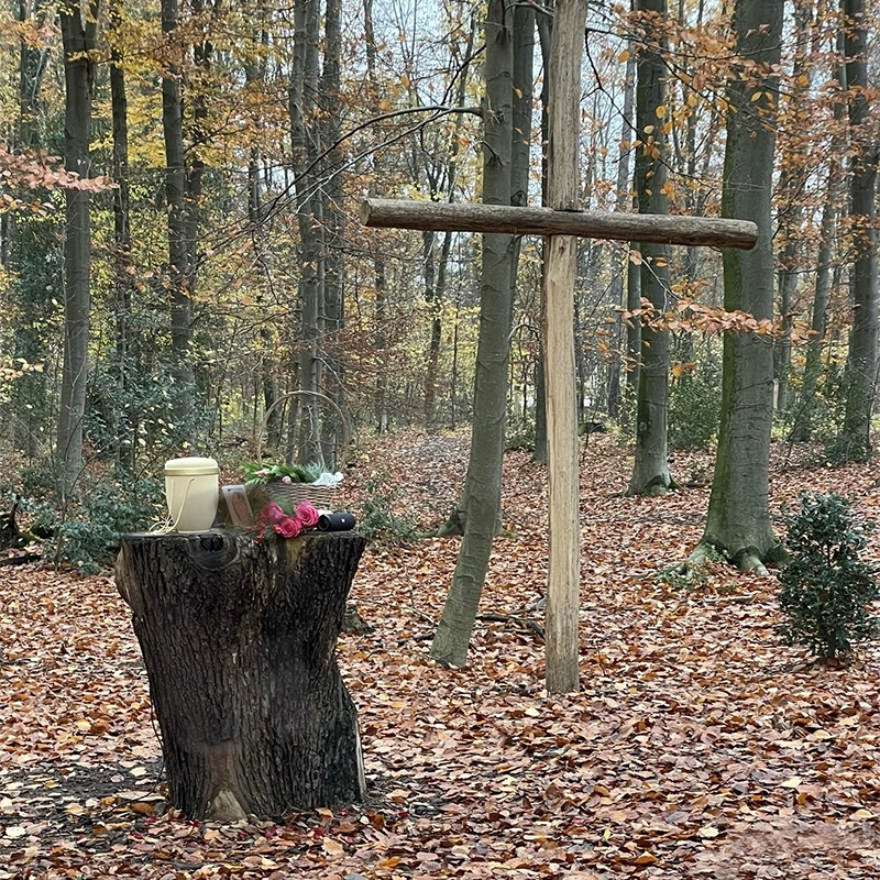 Baumbestattungen1